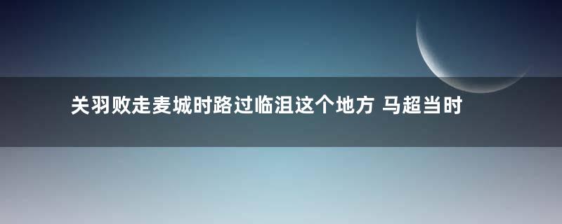 关羽败走麦城时路过临沮这个地方 马超当时为何不救关羽